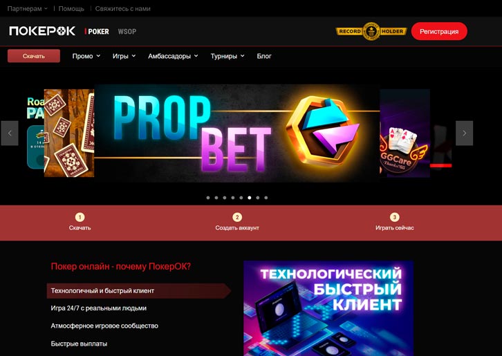 Внешний вид